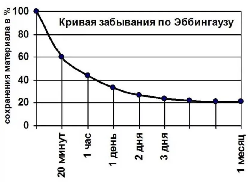 Полное руководство по развитию памяти - Моё, Образование, Память, Длиннопост