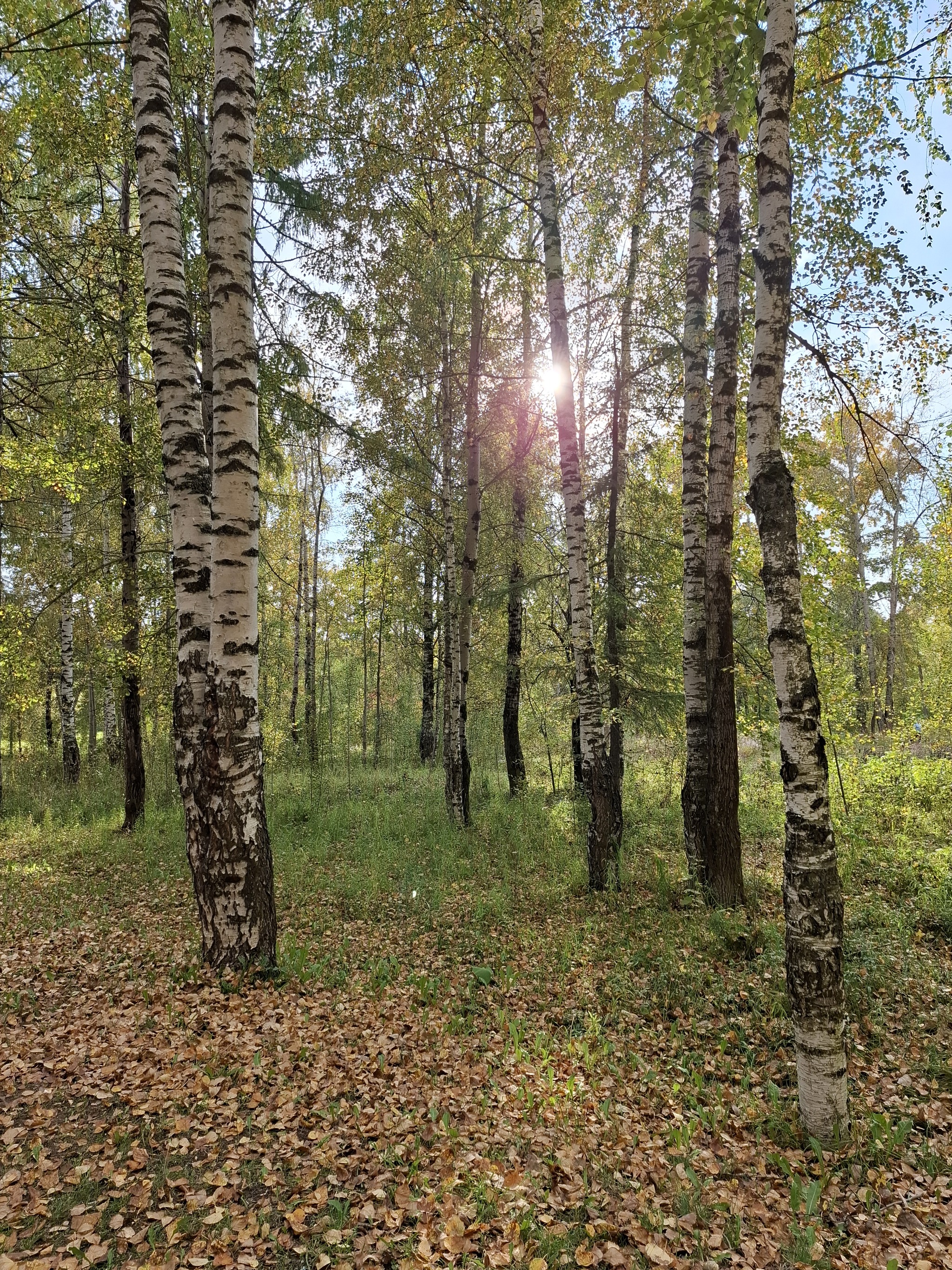 Осень - Моё, Пермский край, Соликамск, Парк, Длиннопост, Прогулка, Фотография, Осень, Осенние листья