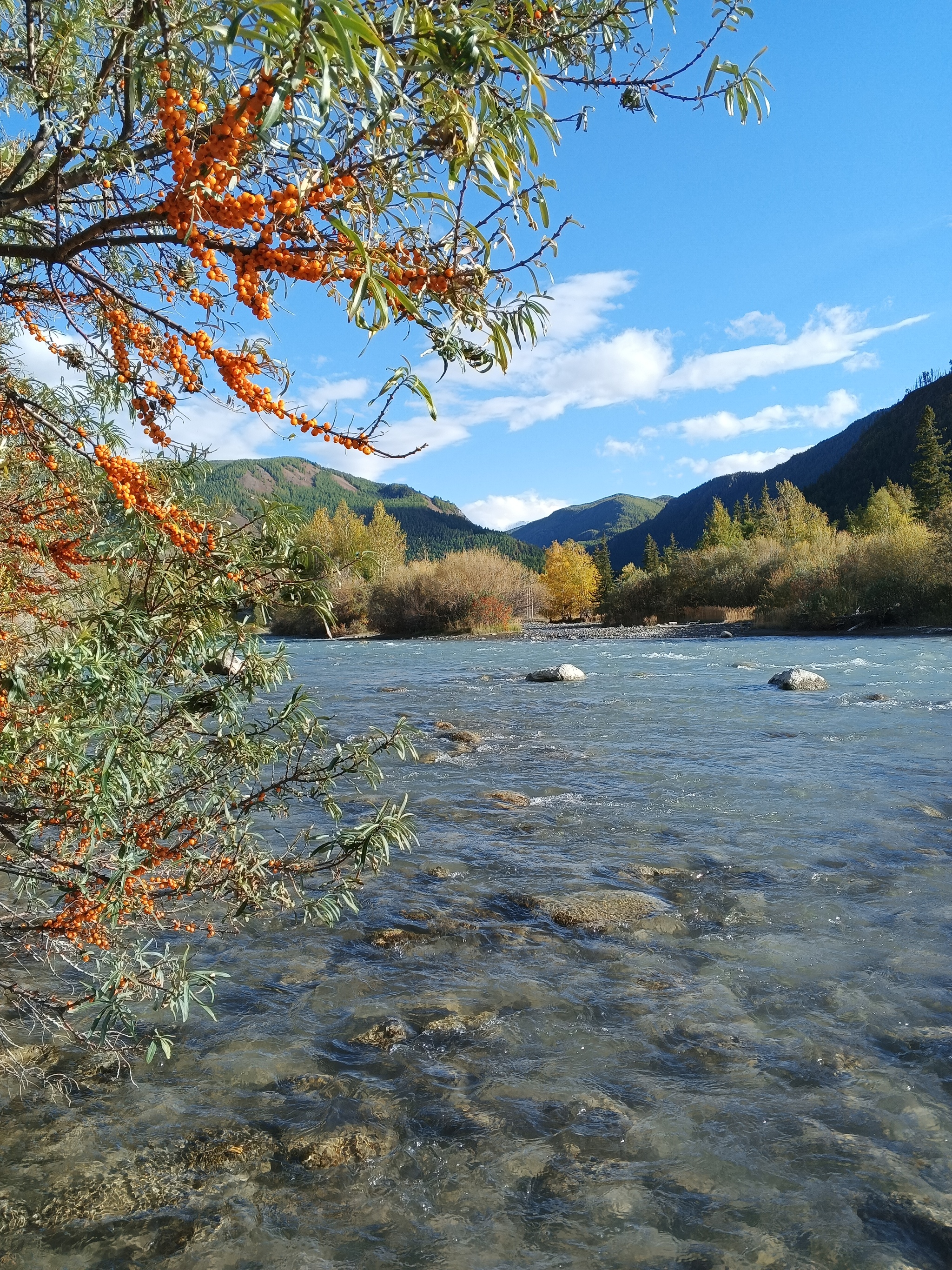 Here comes autumn - My, Altai Republic, Nature, Longpost