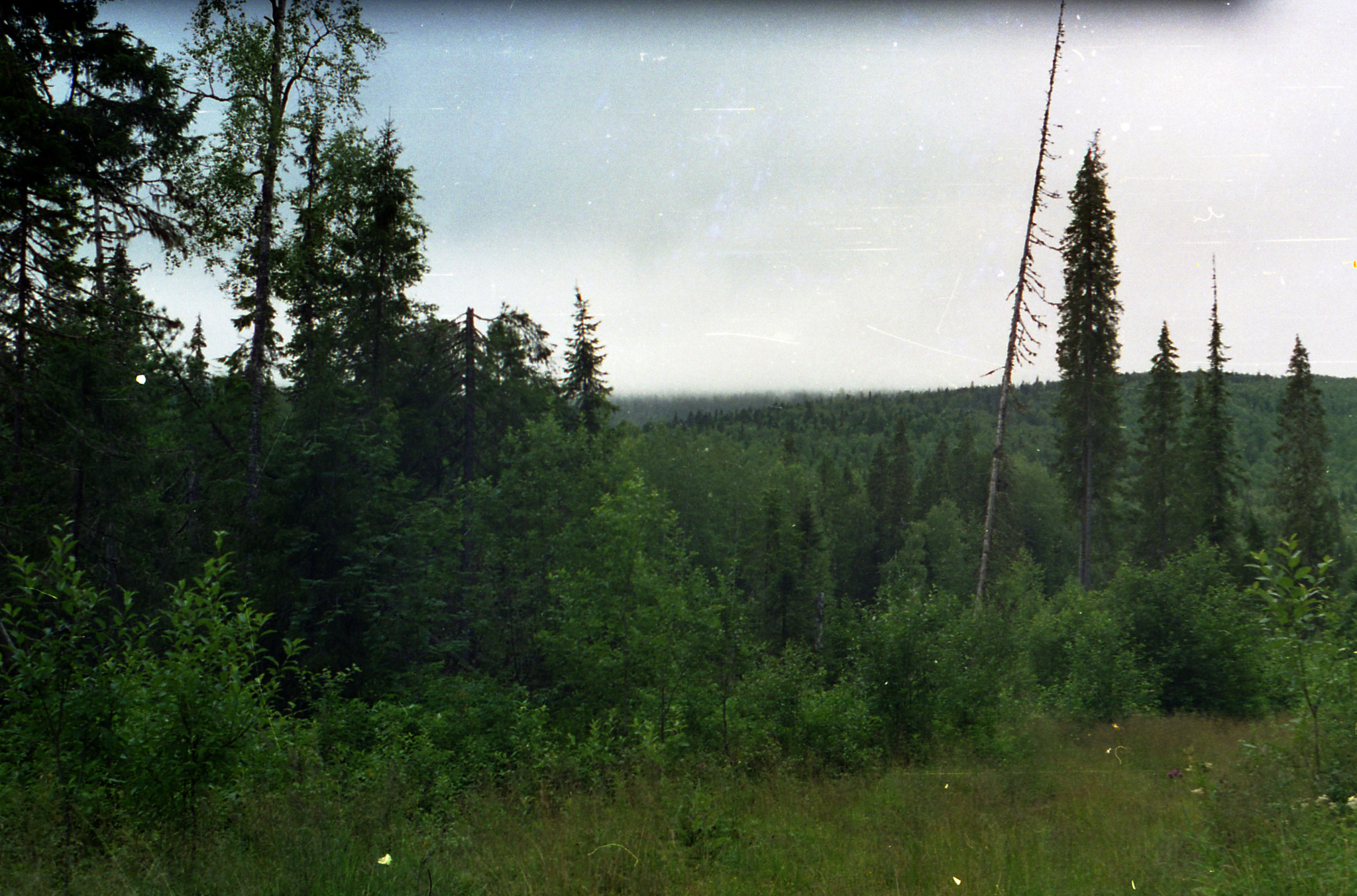 This Short Long Way, 1996 - My, Geology, Geologists, Geophysics, geophysicists, Perm Territory, Krasnovishersky District, Kvarkush, Windfall, Hike, 90th, Memories, Longpost