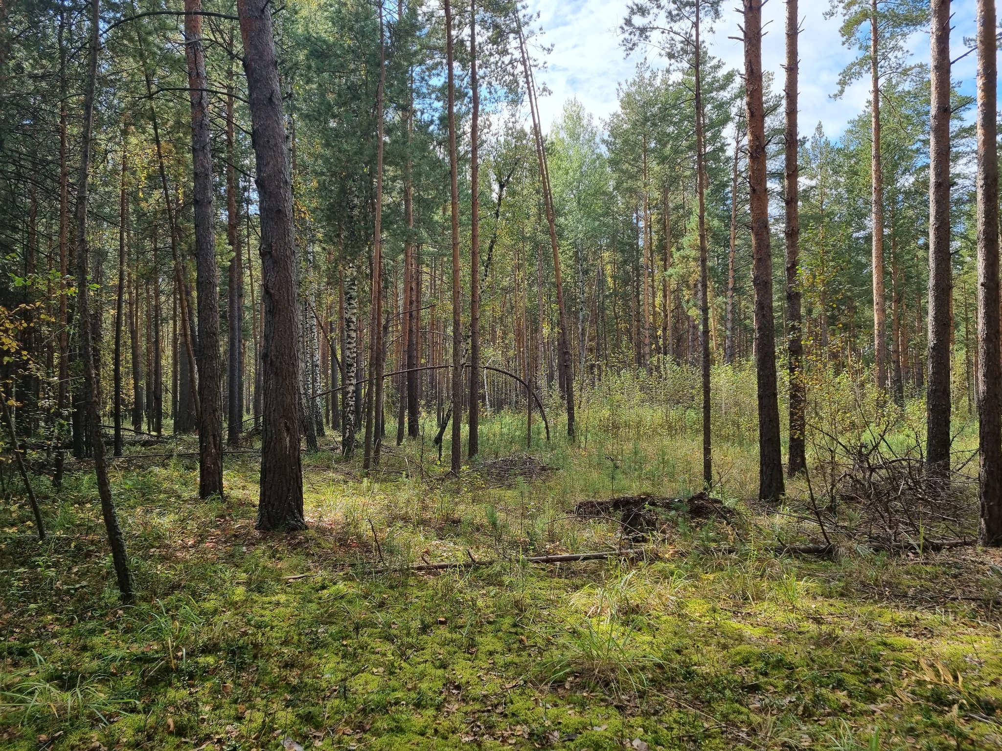 Отдых в воскресенье - Моё, Отдых на природе, Тюмень, Тюменская область, Туризм, Длиннопост