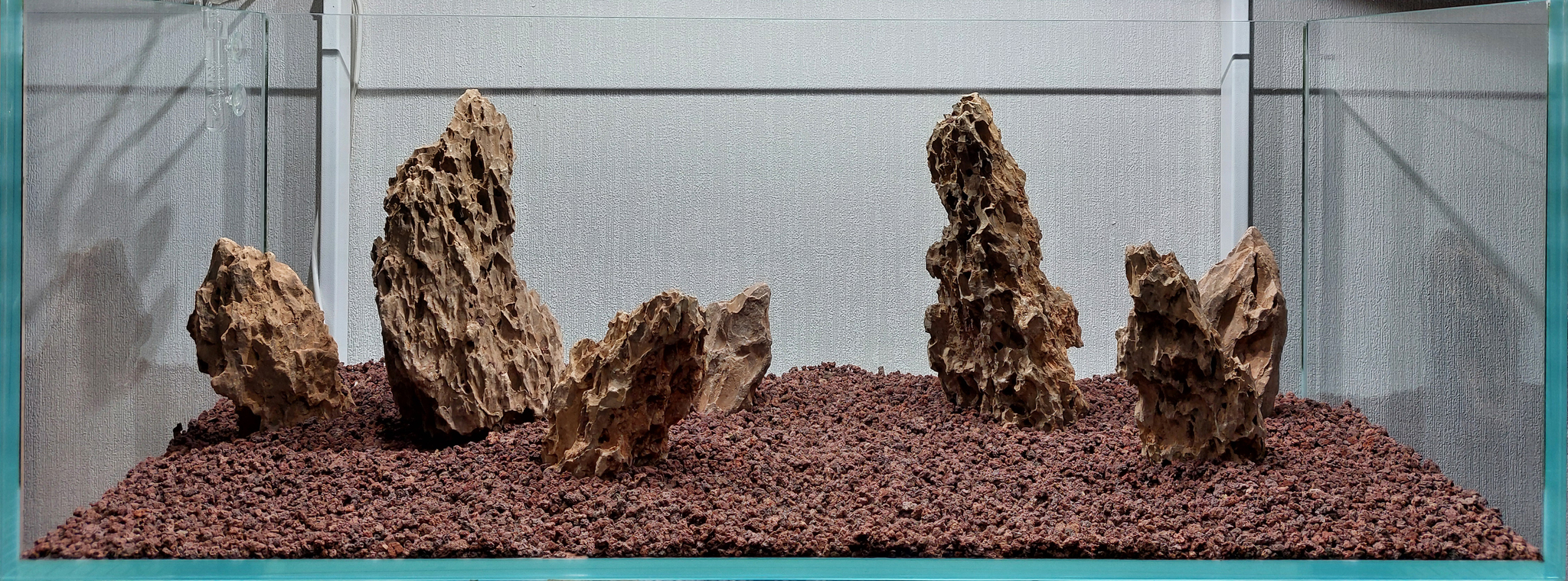 Pilyu Iwagumi or my underwater rock garden - My, Iwagumi, Aquarium, Longpost, The photo, Aquascape, Hobby, Creation