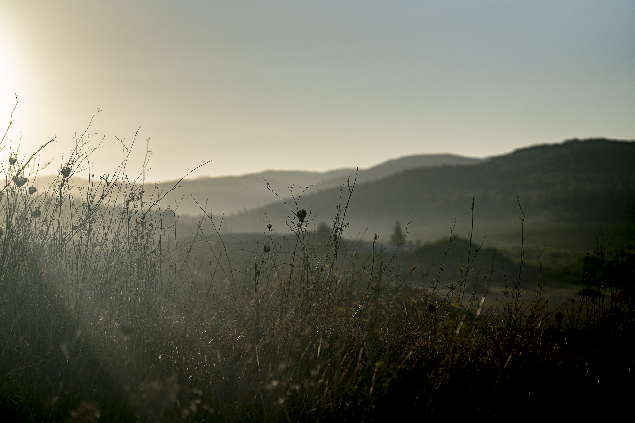 I'm taking pictures - My, The photo, Landscape, Longpost