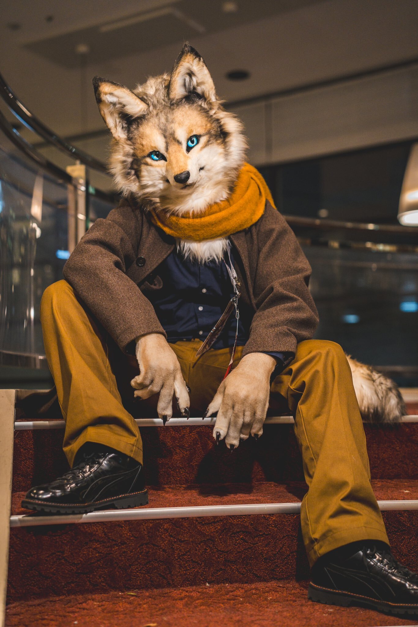 Werewolf Amber - Furry, Fursjoot, Furry canine, Hybrid, Furry wolf, Furry fox, The photo, Longpost