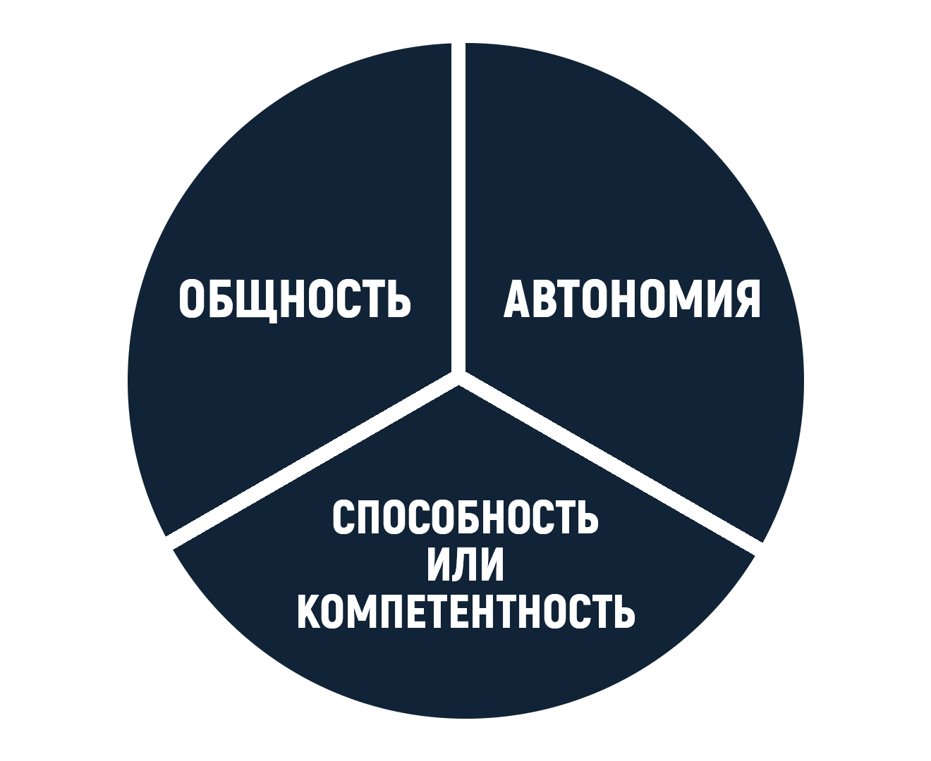 Self-Determination Theory: How Conscious Motivation Changes Our Lives - My, Perfection, Brain, Self-development, Personality, Psychology, Theory, Психолог, Development, Longpost