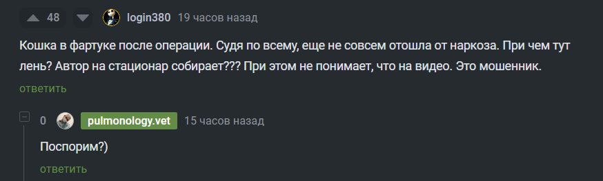 Клинический случай - диагностическая лапаротомия - Моё, Ветеринария, Операция, Кот, Болезнь, Лечение, Длиннопост