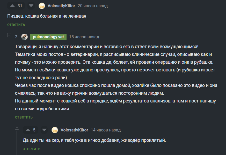 Клинический случай - диагностическая лапаротомия - Моё, Ветеринария, Операция, Кот, Болезнь, Лечение, Длиннопост