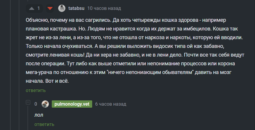 Клинический случай - диагностическая лапаротомия - Моё, Ветеринария, Операция, Кот, Болезнь, Лечение, Длиннопост