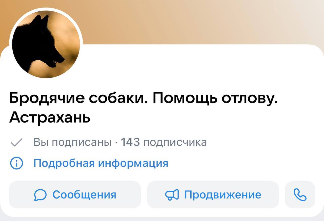 Residents of Astrakhan created a VKontakte group to help the administration catch aggressive stray dogs faster - Stray dogs, Astrakhan, Astrakhan Region, Radical animal protection, Animal defenders, Homeless animals, VKontakte (link), Longpost, Telegram (link), Screenshot, Safety, Negative