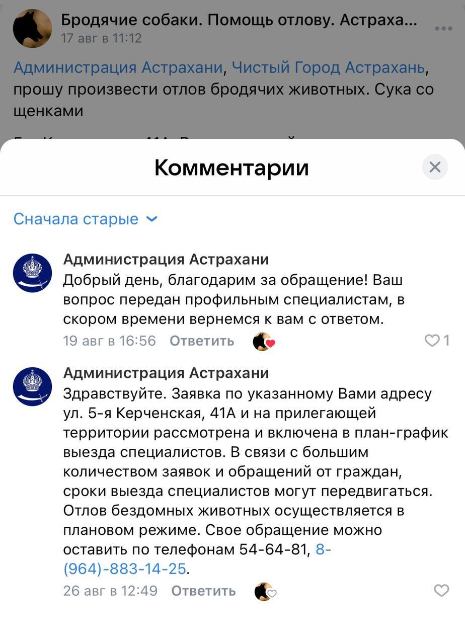 Residents of Astrakhan created a VKontakte group to help the administration catch aggressive stray dogs faster - Stray dogs, Astrakhan, Astrakhan Region, Radical animal protection, Animal defenders, Homeless animals, VKontakte (link), Longpost, Telegram (link), Screenshot, Safety, Negative