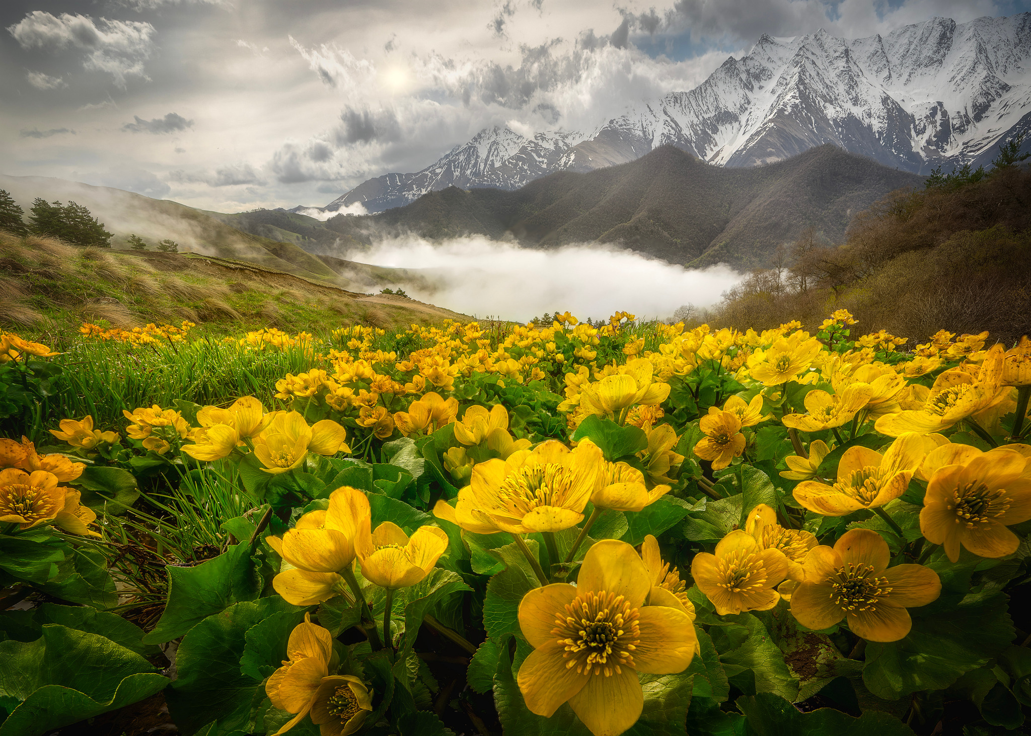 Ingushetia - My, Ingushetia, Caucasus mountains, The mountains, The photo, Beautiful view, Field, Fog