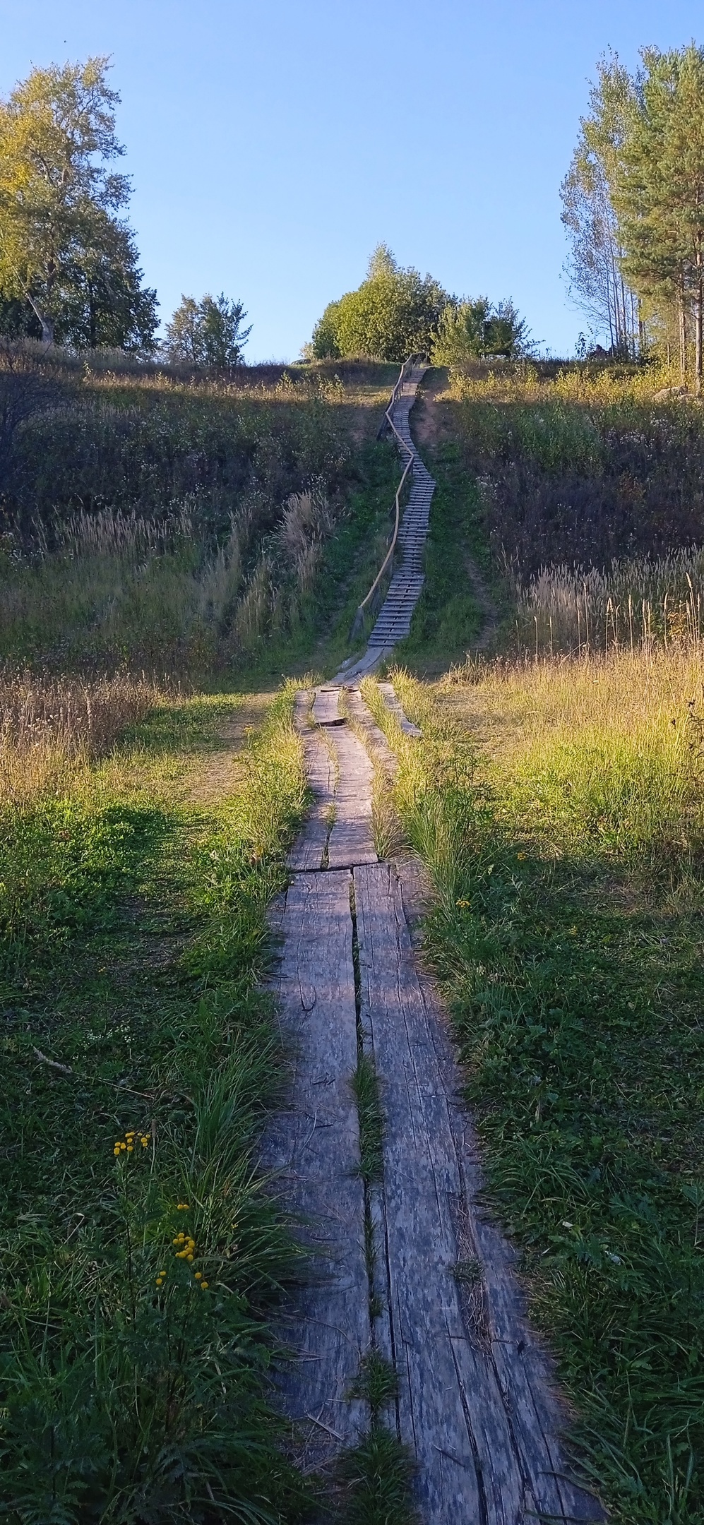 Susaninskoe swamp - Swamp, Ivan Susanin, The nature of Russia, Reserves and sanctuaries, Longpost