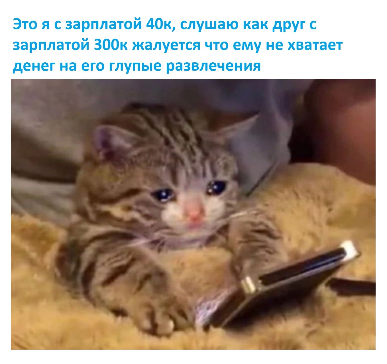 It's a shame - Humor, Memes, cat, Demotivator, Sad humor, Friend, Friends, friendship, Money, Work