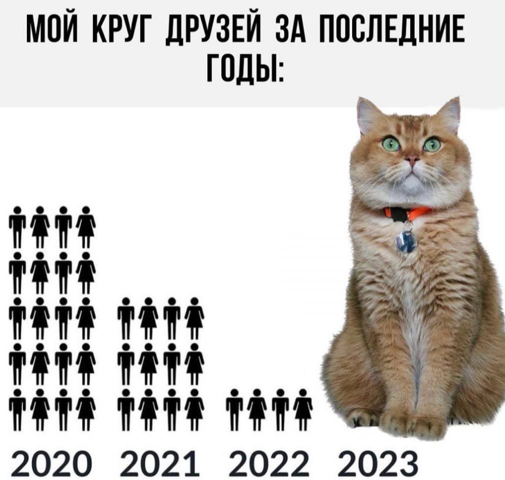 2024 - the cat left - My, Memes, Humor, Picture with text, Expectation and reality, cat, 2024