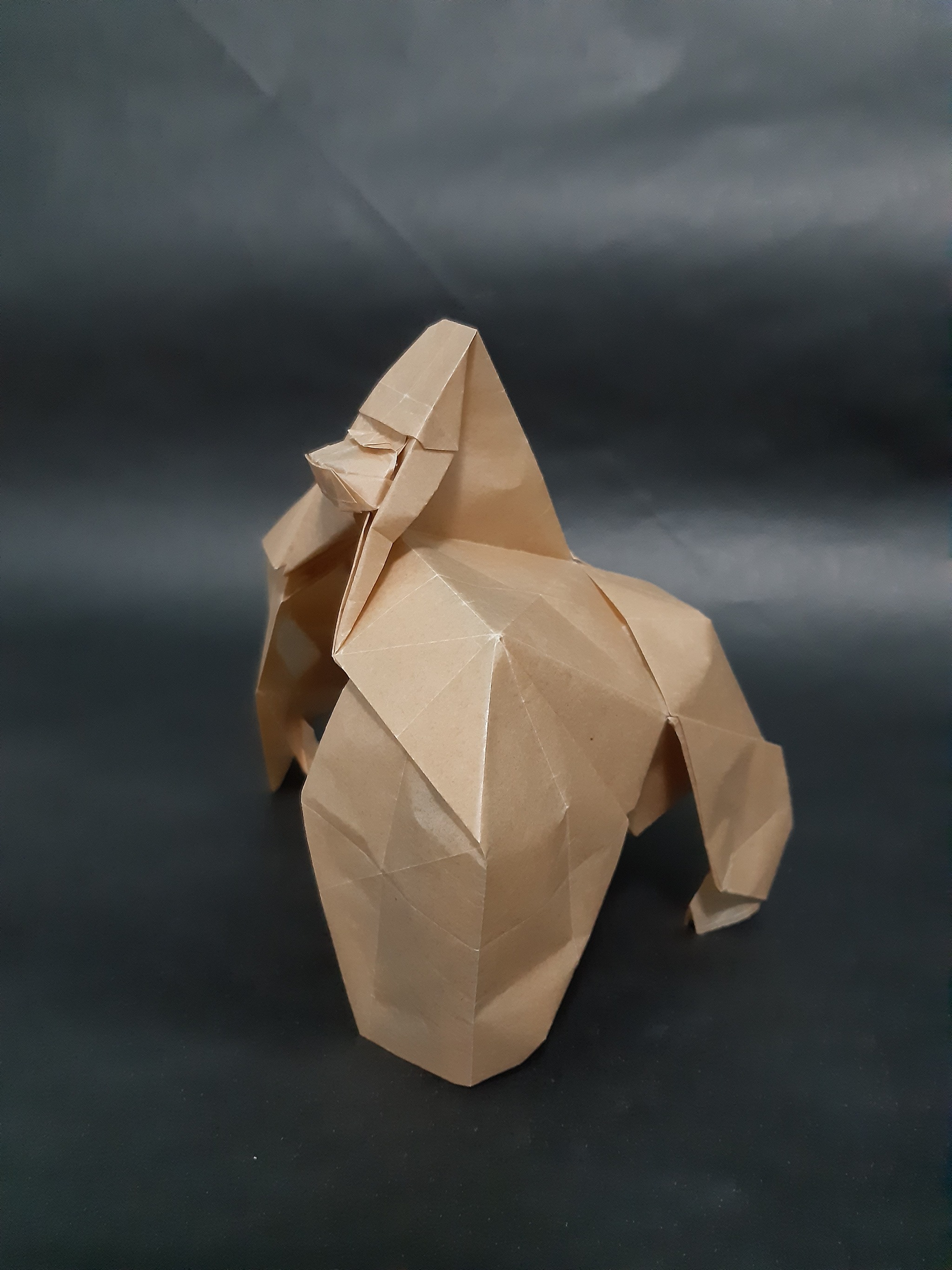 Origami Gorilla (Jeong Jae IL) - Origami, Gorilla, Diane Fossey, Video, Vertical video, Longpost