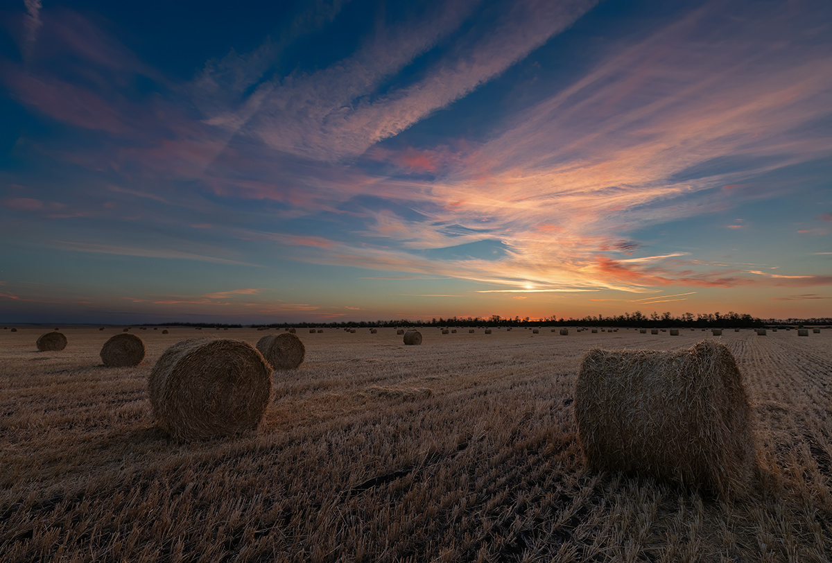 Dawn Firebird - My, dawn, Field, Roll, Straw, Steppe, Rostov region, The photo