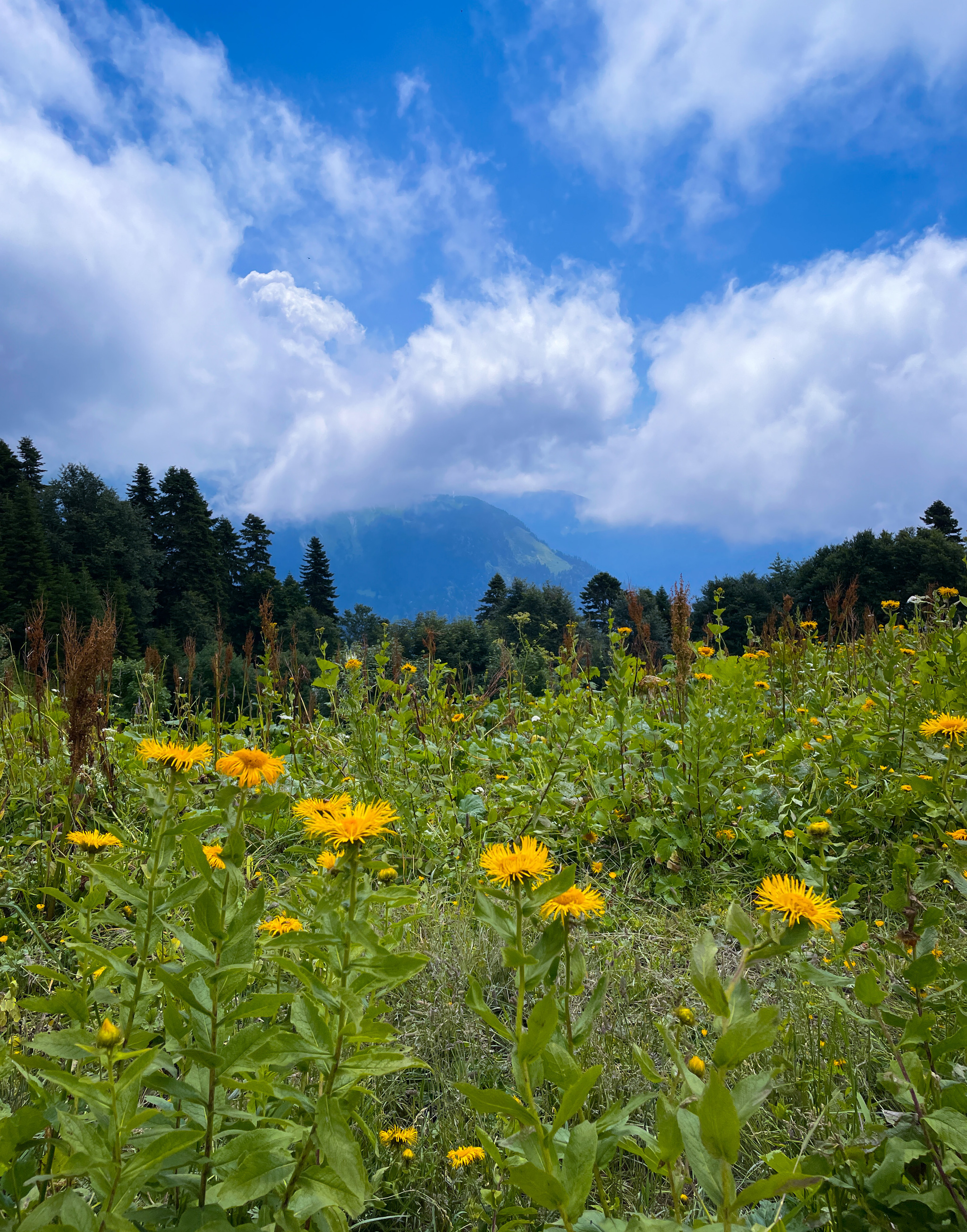 Mountains - My, The photo, Nature, beauty, The mountains, Beautiful view, Longpost