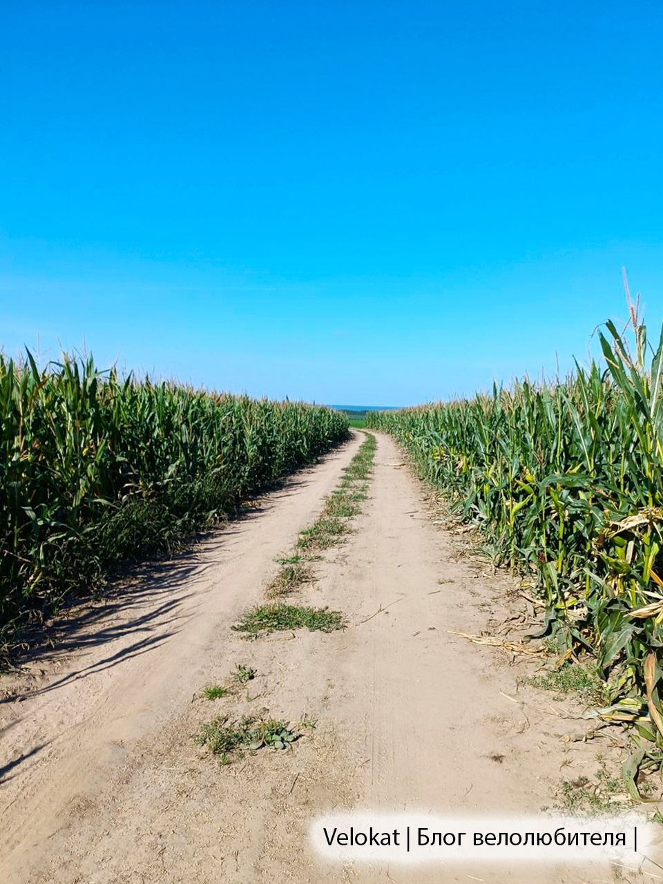 Oka Trail. For corn, apples and views of the Oka - My, A bike, Cyclist, Bike ride, Camping, Bike trip, Shukhov tower, Vorsma, Bogorodsk, Nizhny Novgorod, Corn, Halt, Longpost