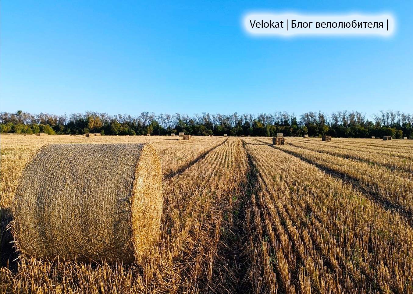 Oka Trail. For corn, apples and views of the Oka - My, A bike, Cyclist, Bike ride, Camping, Bike trip, Shukhov tower, Vorsma, Bogorodsk, Nizhny Novgorod, Corn, Halt, Longpost