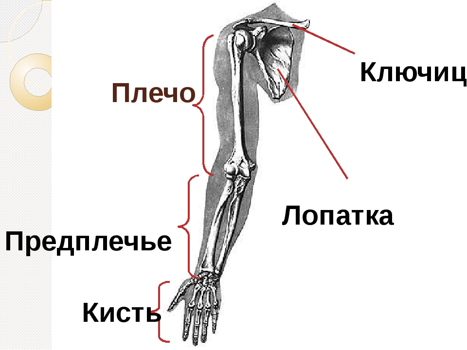 This symptom indicates a high risk of heart attack! - Doctors, Ambulance, Heart attack, Disease history, Yandex Zen, Yandex Zen (link), Longpost