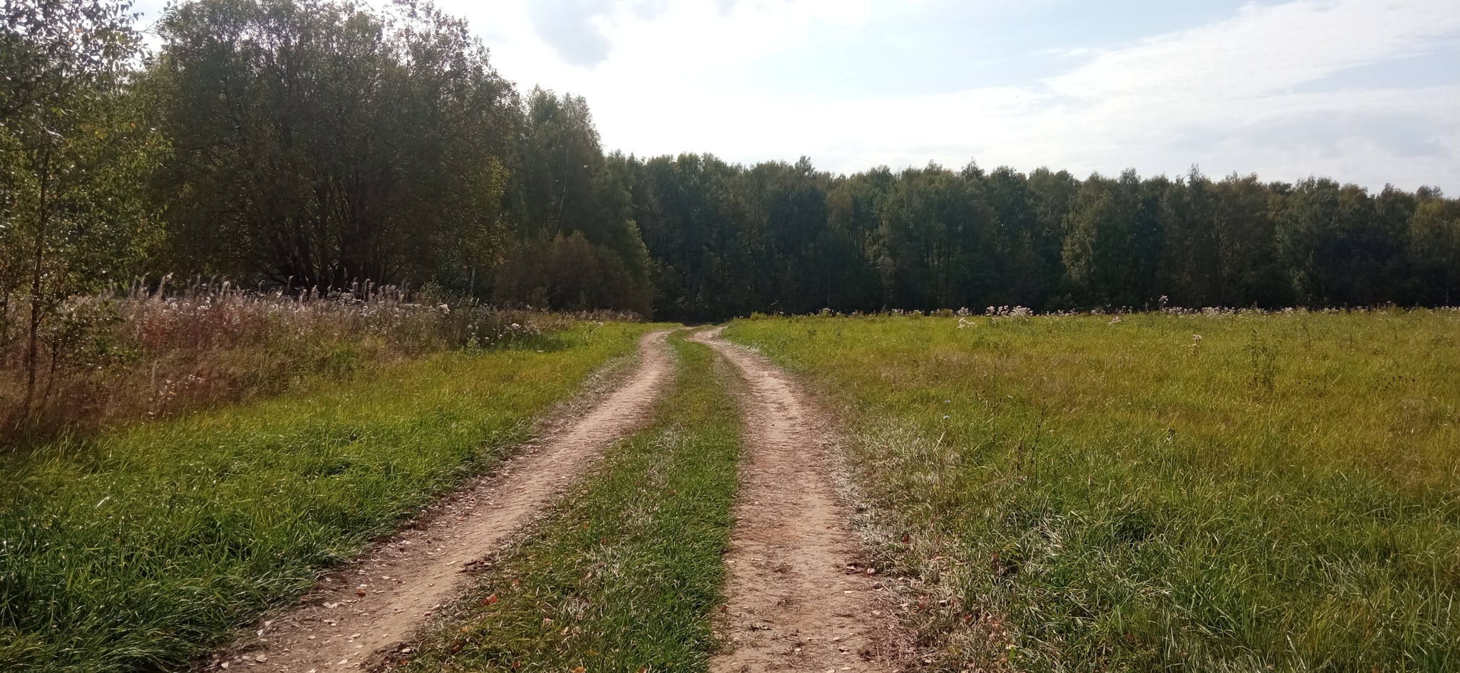 Поездка1 - Моё, Велосипед, Велопрогулка, Ярославская область, Длиннопост