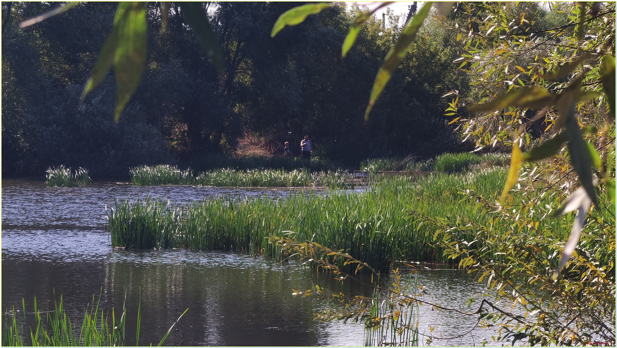 Warm September 2024...and fishing - My, The photo, Nature, Landscape, Heat, Fishing, Longpost