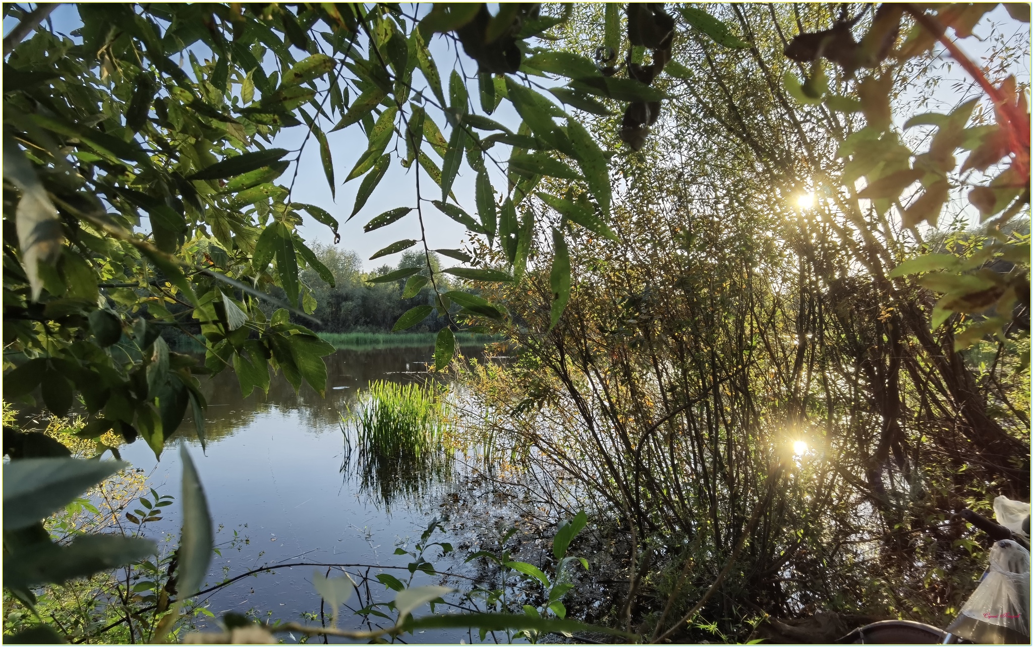 Warm September 2024...and fishing - My, The photo, Nature, Landscape, Heat, Fishing, Longpost