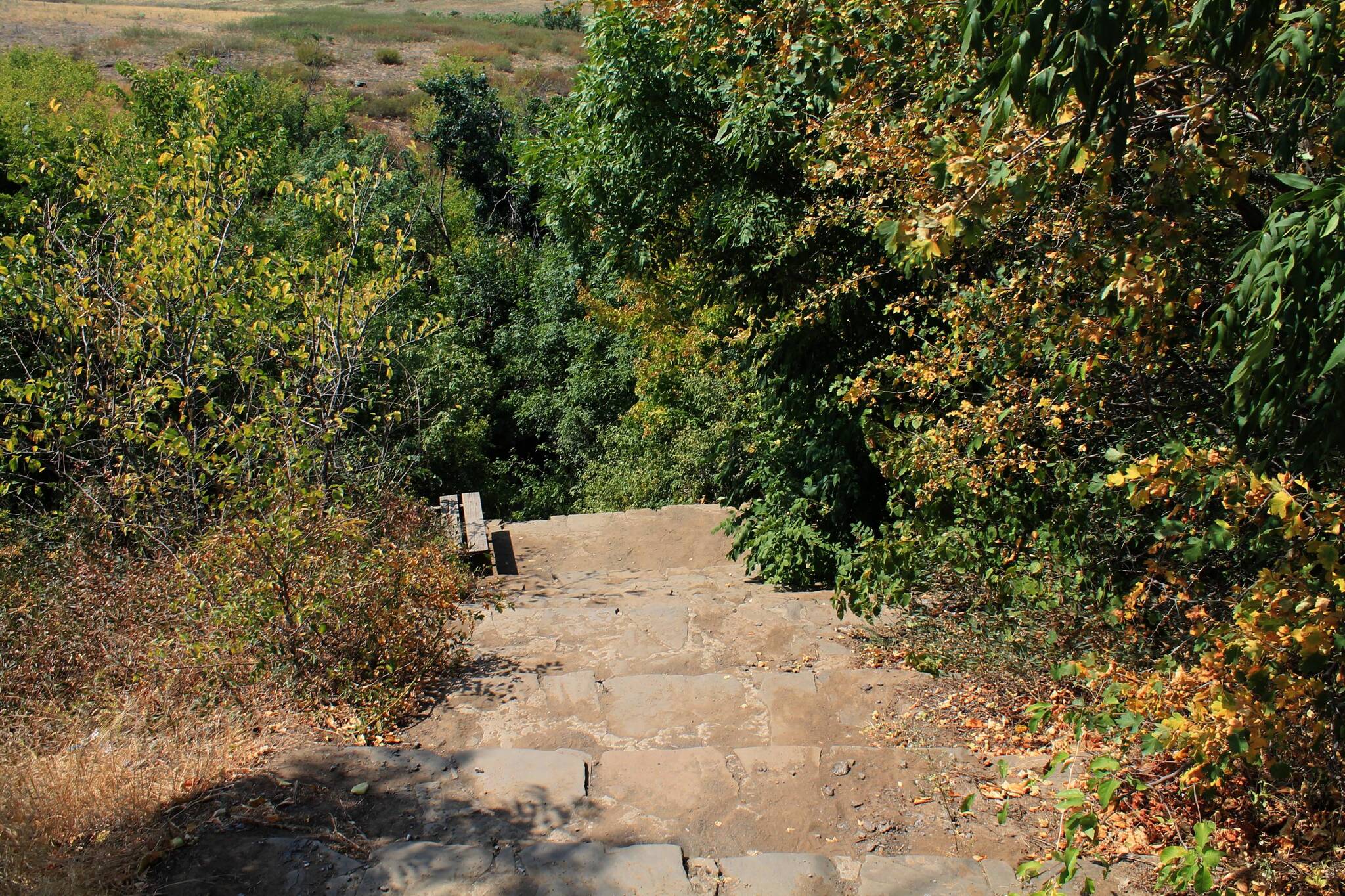 The road to the spring - My, The photo, Landscape, Nature, Beam, Ravine, Autumn, Longpost