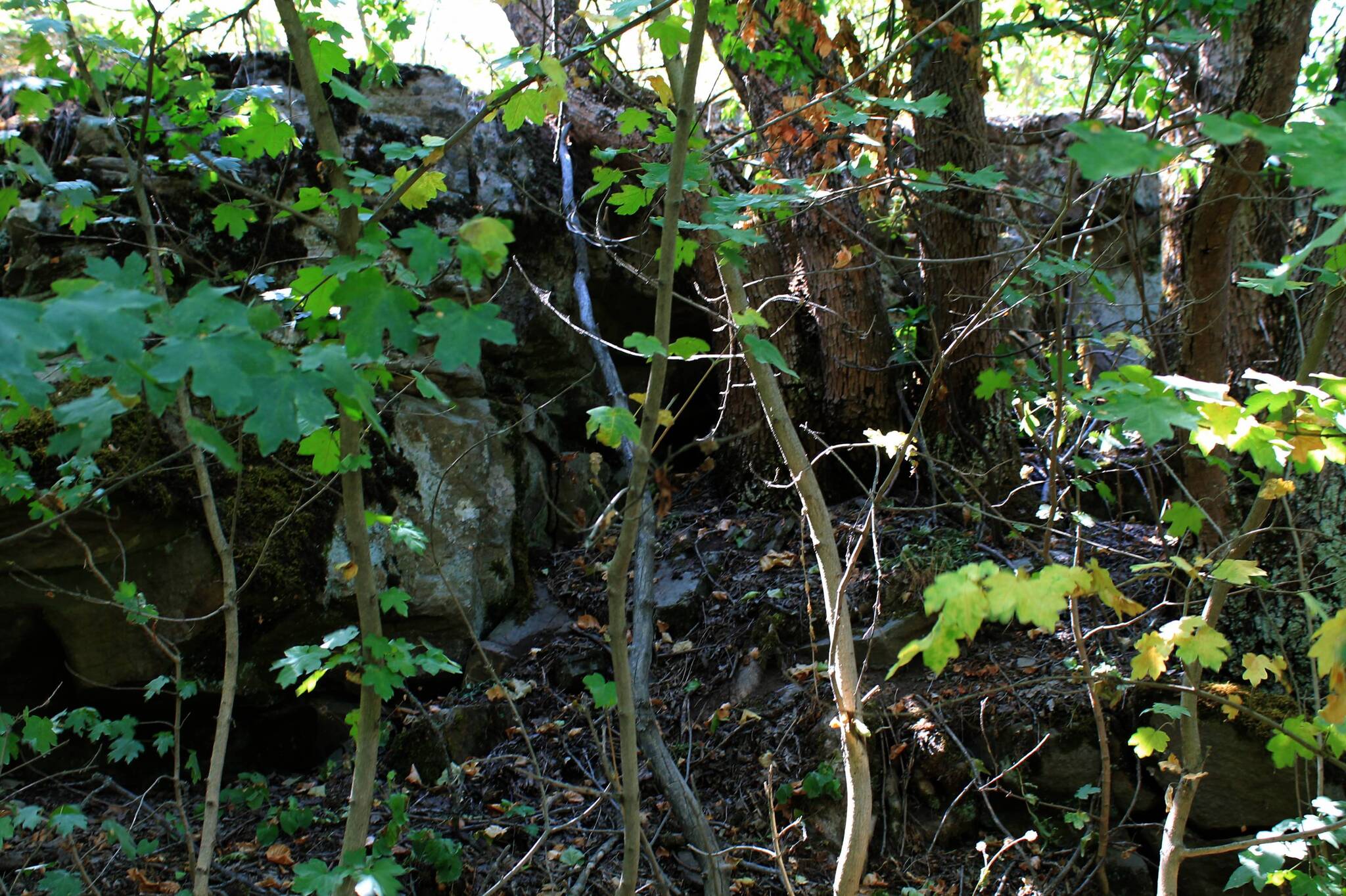 The road to the spring - My, The photo, Landscape, Nature, Beam, Ravine, Autumn, Longpost