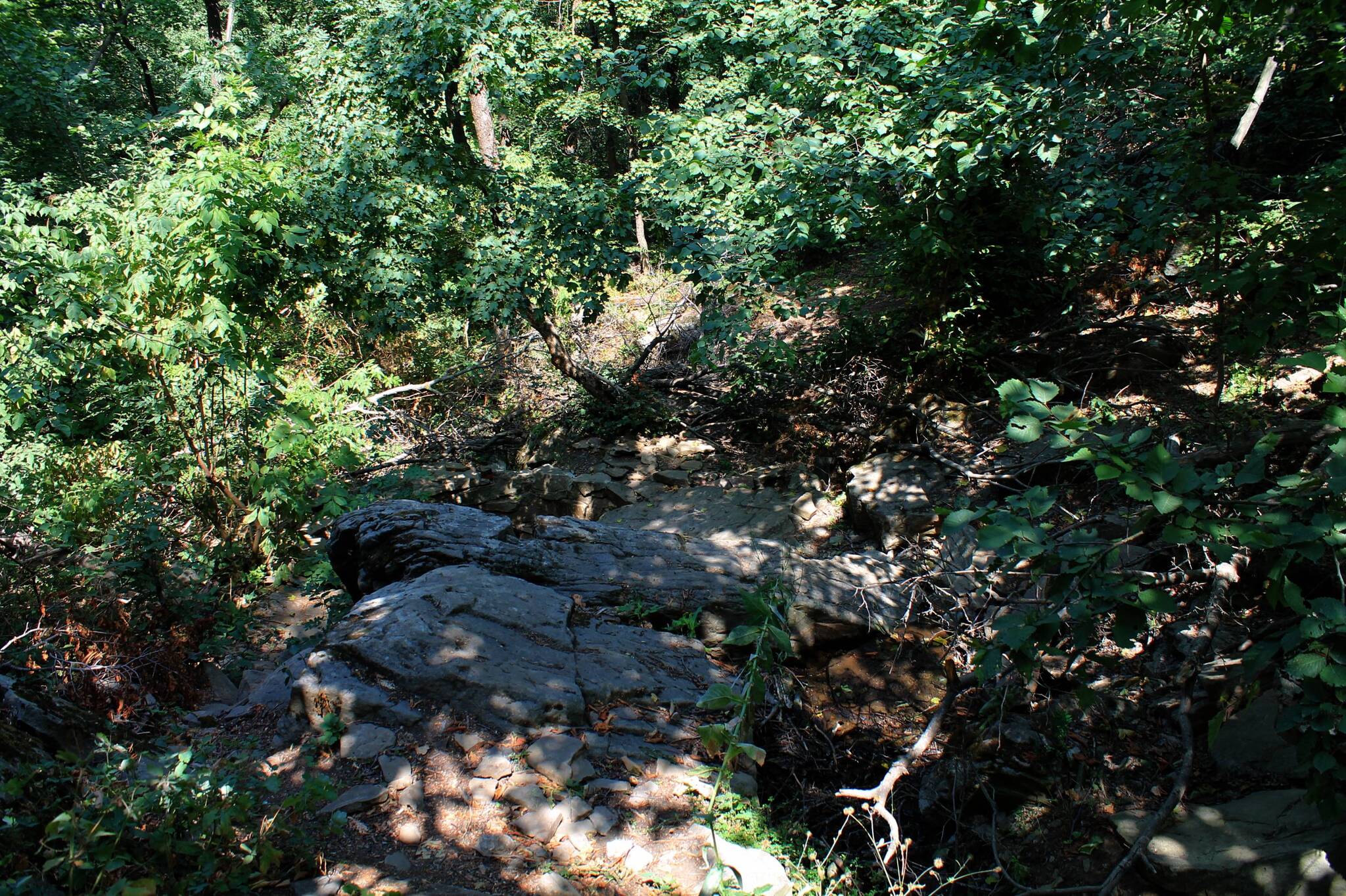 The road to the spring - My, The photo, Landscape, Nature, Beam, Ravine, Autumn, Longpost