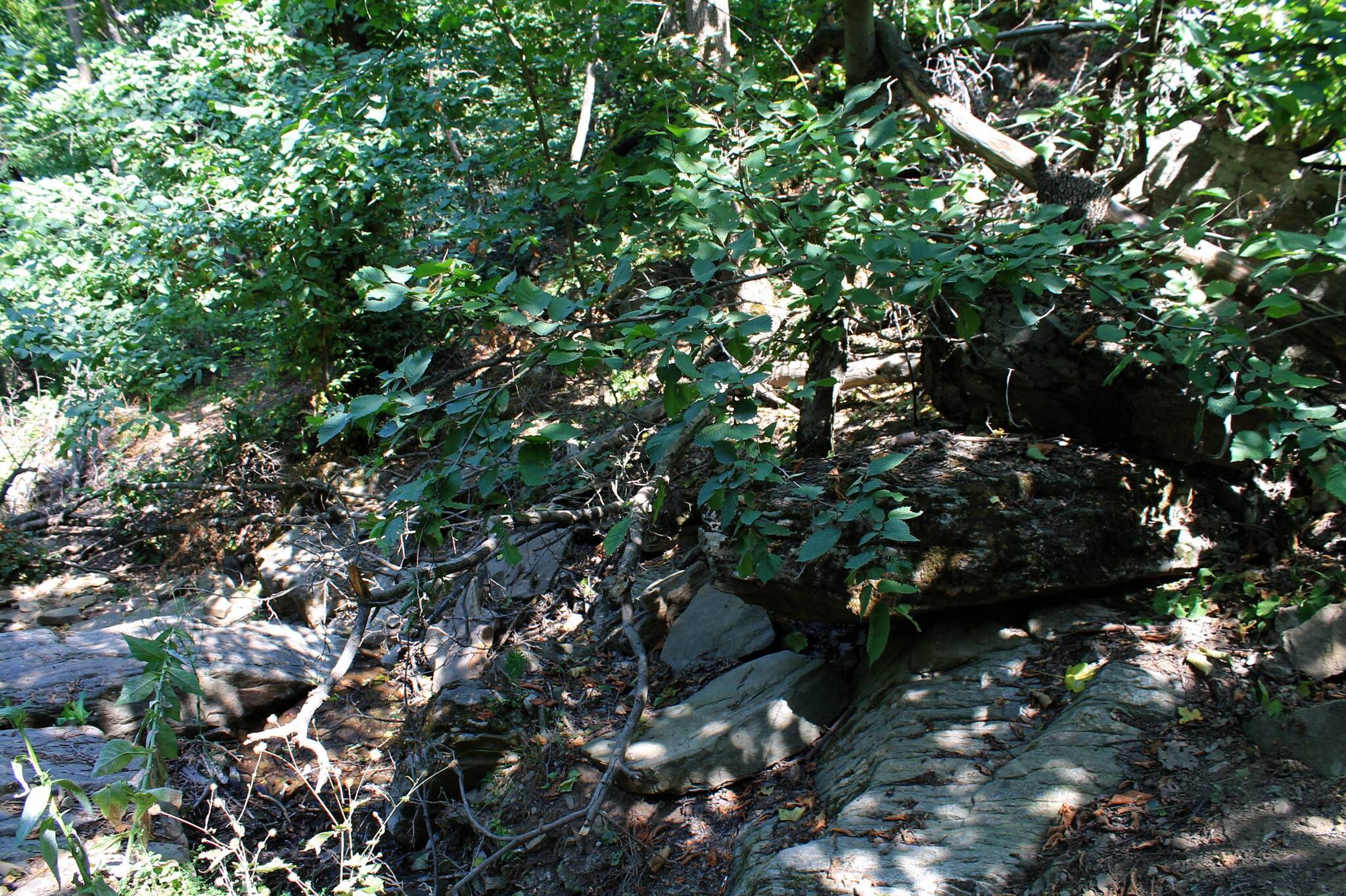 The road to the spring - My, The photo, Landscape, Nature, Beam, Ravine, Autumn, Longpost