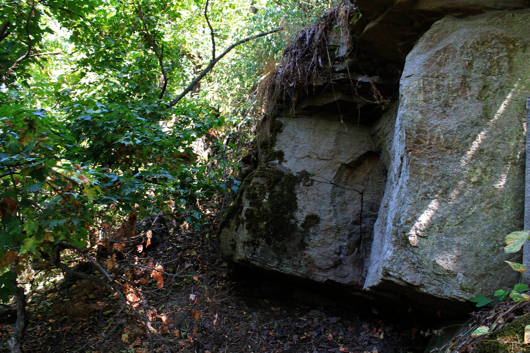 The road to the spring - My, The photo, Landscape, Nature, Beam, Ravine, Autumn, Longpost