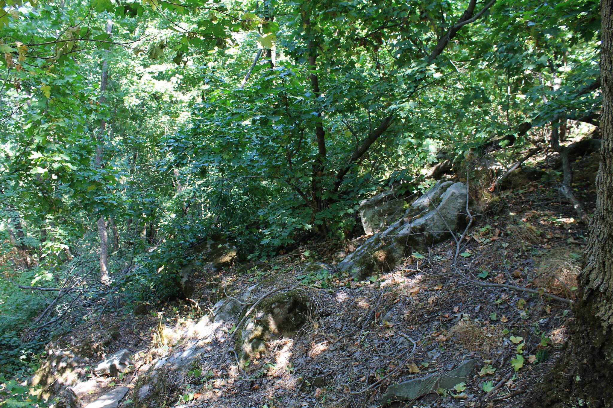 The road to the spring - My, The photo, Landscape, Nature, Beam, Ravine, Autumn, Longpost