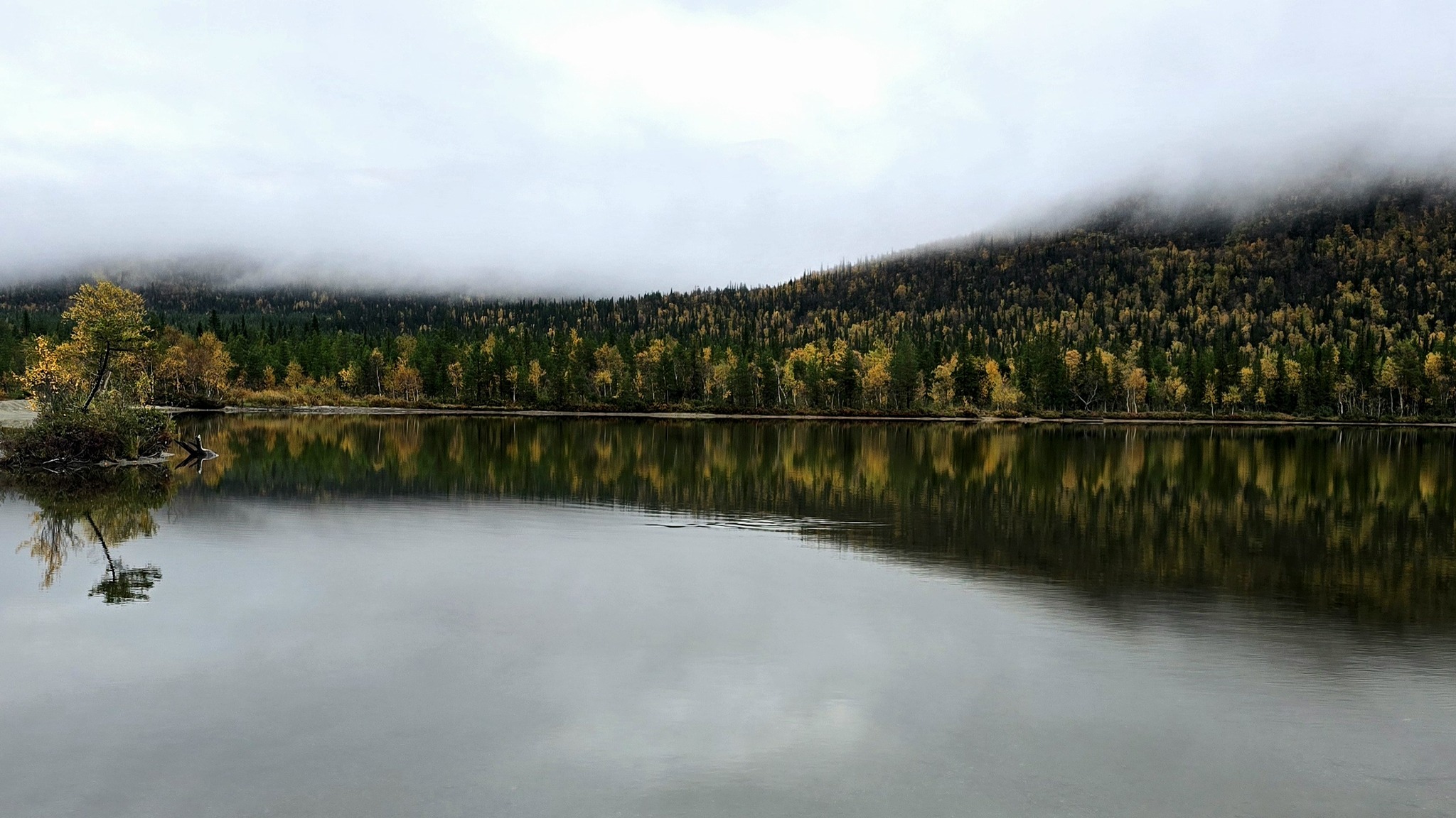 Photo hunting in Khibiny, part 1 - My, Mobile photography, The photo, Plants, Khibiny, The mountains, Nature, Longpost