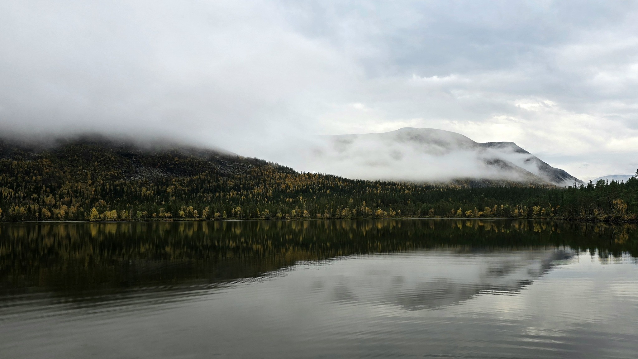 Photo hunting in Khibiny, part 1 - My, Mobile photography, The photo, Plants, Khibiny, The mountains, Nature, Longpost