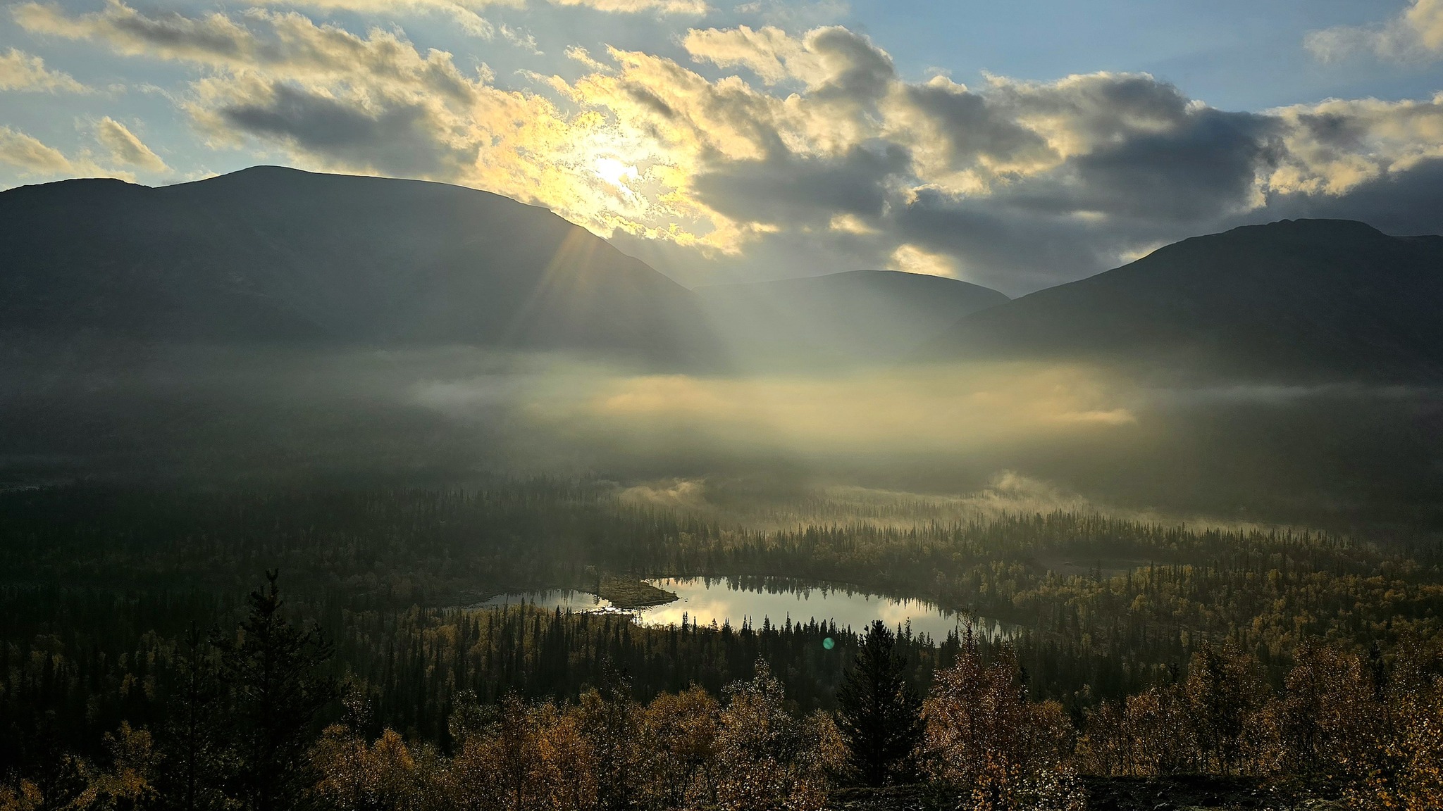 Photo hunting in Khibiny, part 1 - My, Mobile photography, The photo, Plants, Khibiny, The mountains, Nature, Longpost