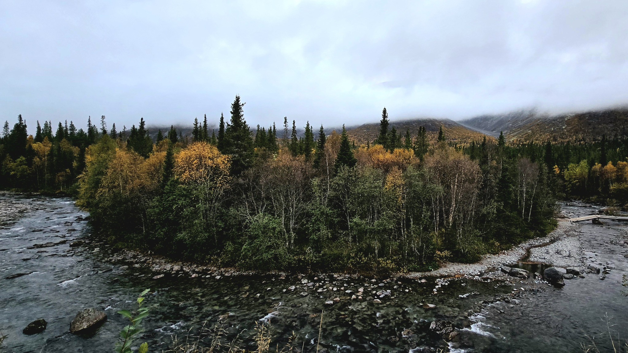 Photo hunting in Khibiny, part 1 - My, Mobile photography, The photo, Plants, Khibiny, The mountains, Nature, Longpost