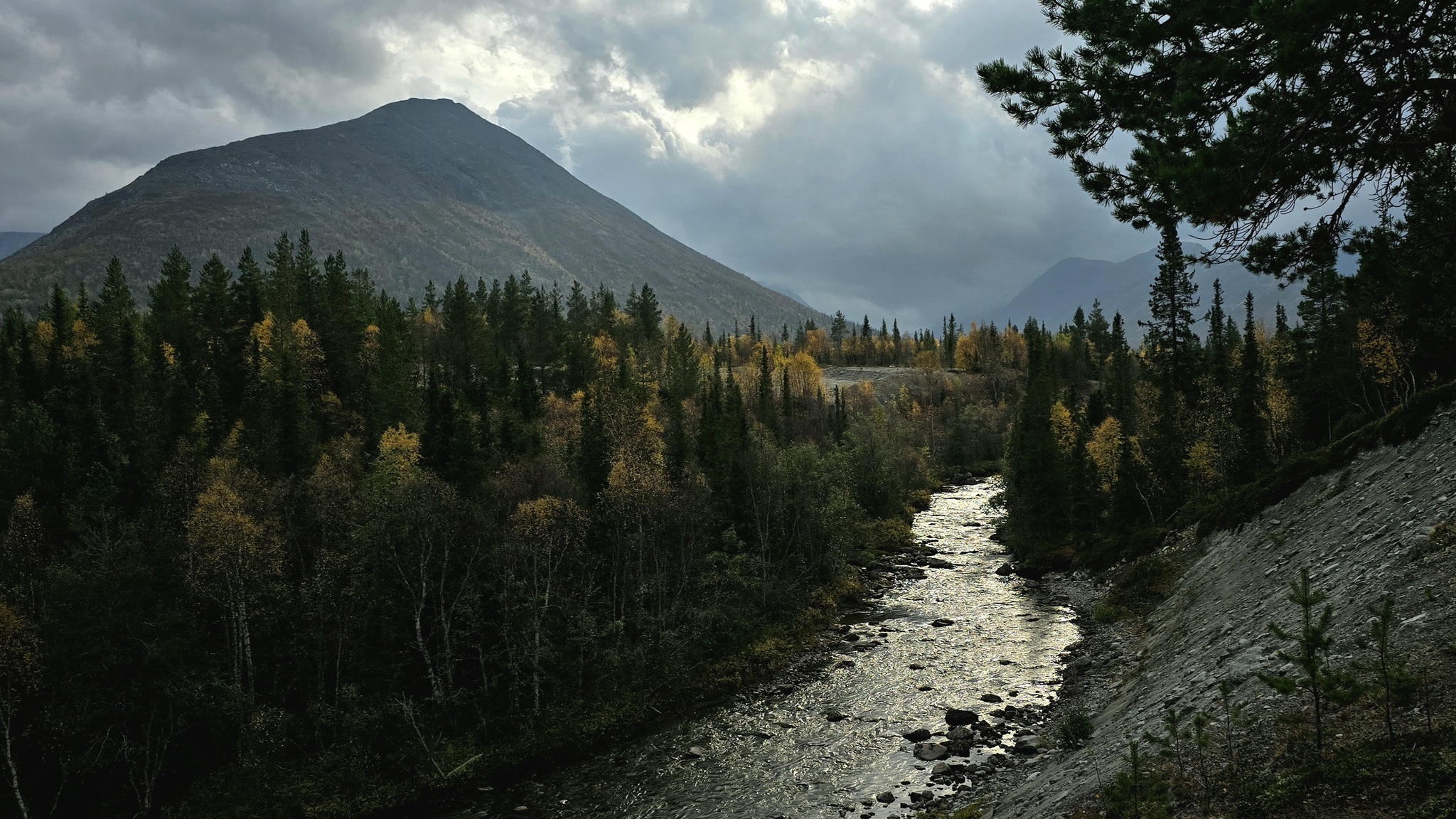 Photo hunting in Khibiny, part 1 - My, Mobile photography, The photo, Plants, Khibiny, The mountains, Nature, Longpost