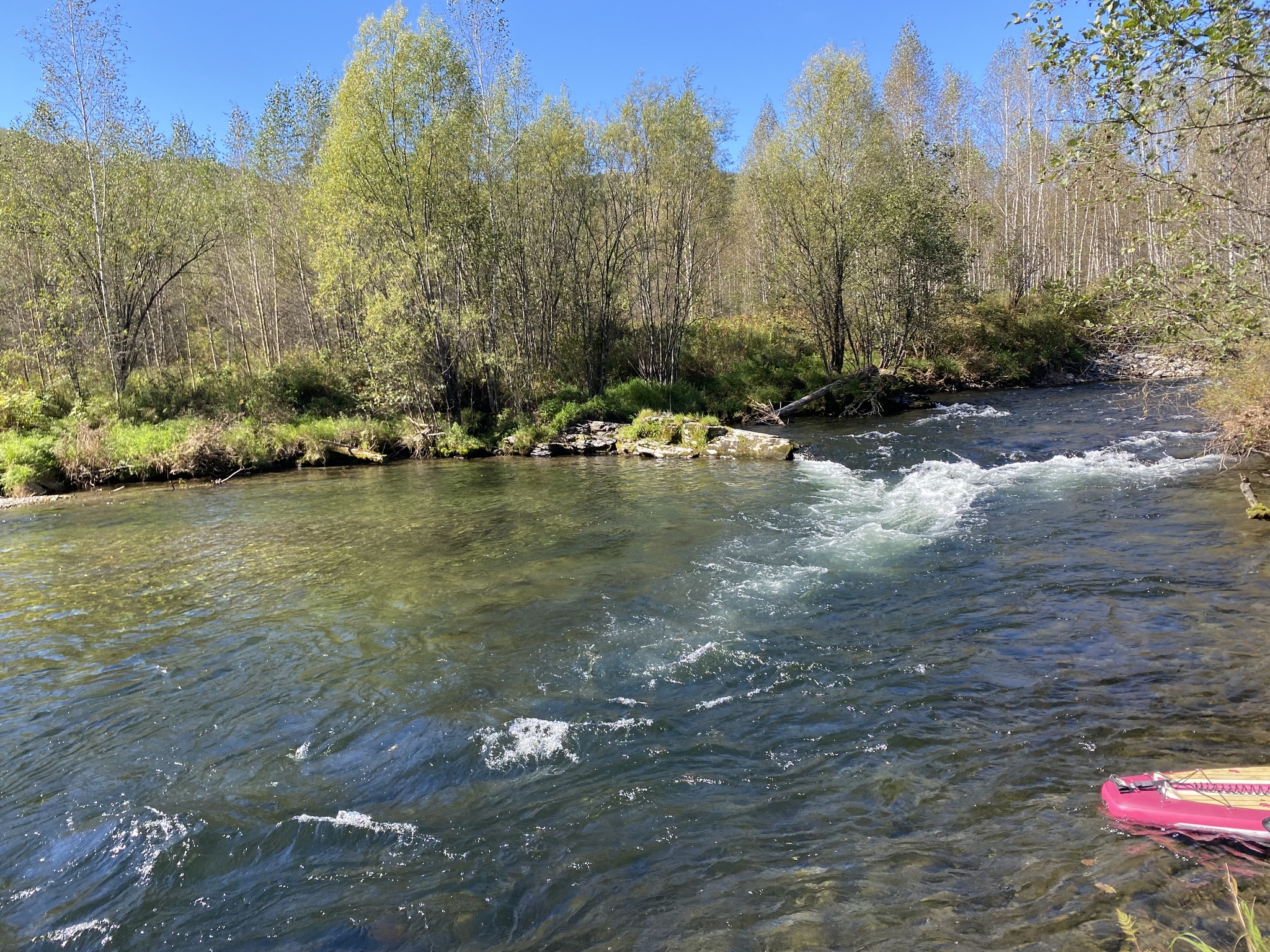 Sapa rafting on mountain rivers with a short climb to the Anyui Pillars (Nadge Rocks) - My, Alloy, River rafting, SUPsurfing, Mountain river, Travels, Travel across Russia, Дальний Восток, Khabarovsk region, Surfboard, Video, Longpost, Climbing, The mountains, Hills, Nature, wildlife, The nature of Russia, Vertical video, Soundless