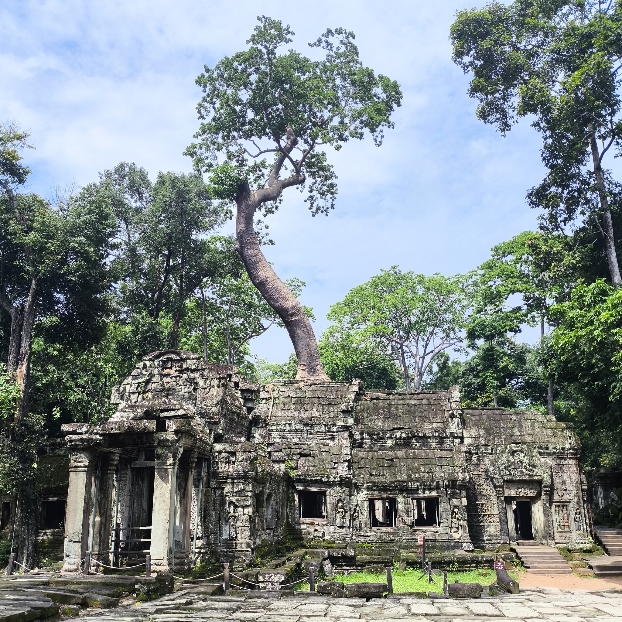 Diary of a trip to Melanesia. Cambodia. Day 88. The Great Angkor, or how we made the monkeys yawn - My, Travels, Life stories, Around the world, Drive, Cambodia, Unusual, Empire, Informative, Туристы, Tourism, Angkor Wat, Video, Vertical video, Longpost