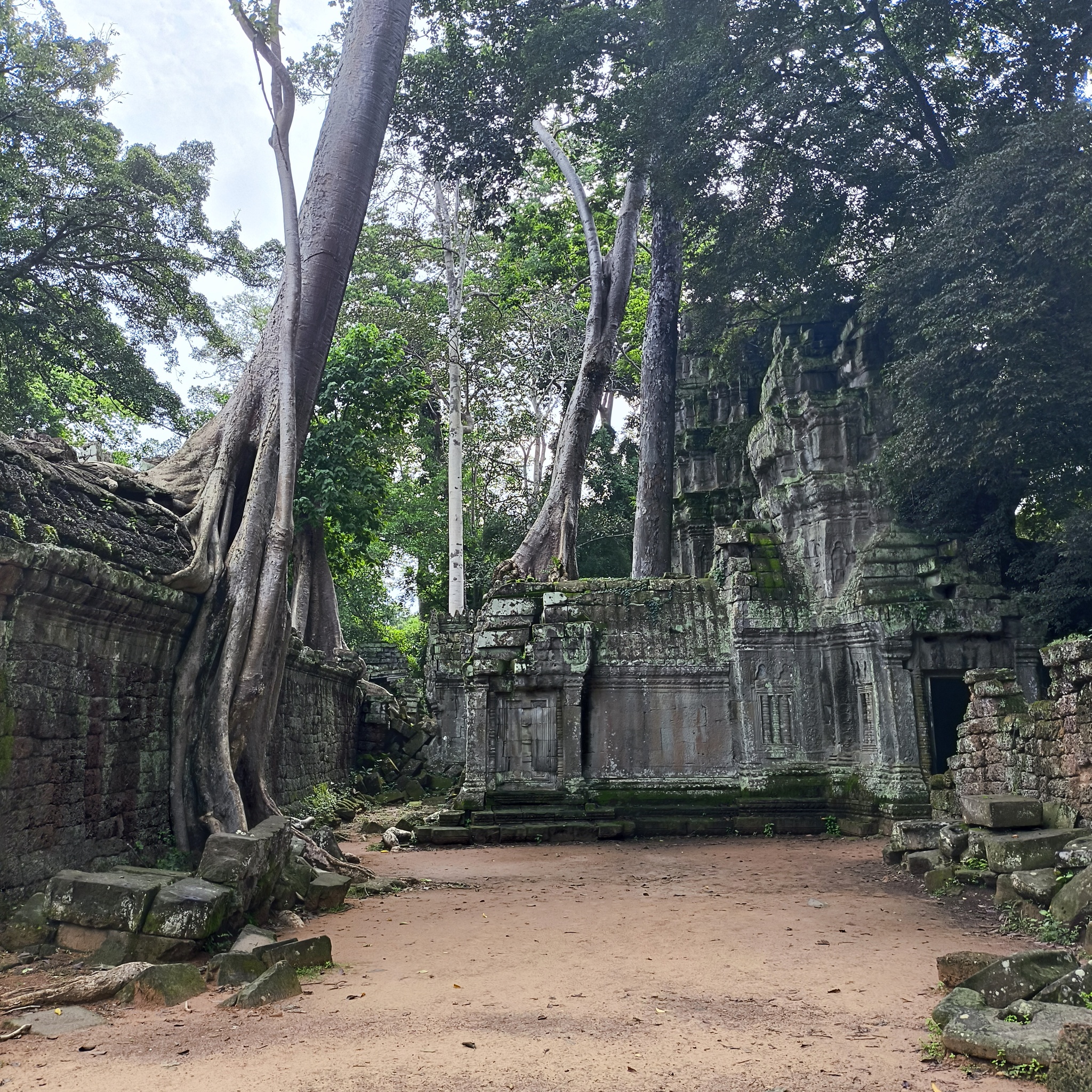 Diary of a trip to Melanesia. Cambodia. Day 88. The Great Angkor, or how we made the monkeys yawn - My, Travels, Life stories, Around the world, Drive, Cambodia, Unusual, Empire, Informative, Туристы, Tourism, Angkor Wat, Video, Vertical video, Longpost