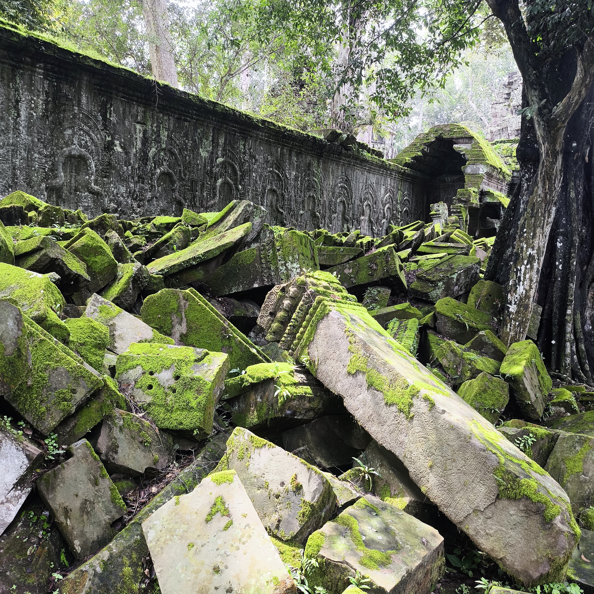 Diary of a trip to Melanesia. Cambodia. Day 88. The Great Angkor, or how we made the monkeys yawn - My, Travels, Life stories, Around the world, Drive, Cambodia, Unusual, Empire, Informative, Туристы, Tourism, Angkor Wat, Video, Vertical video, Longpost