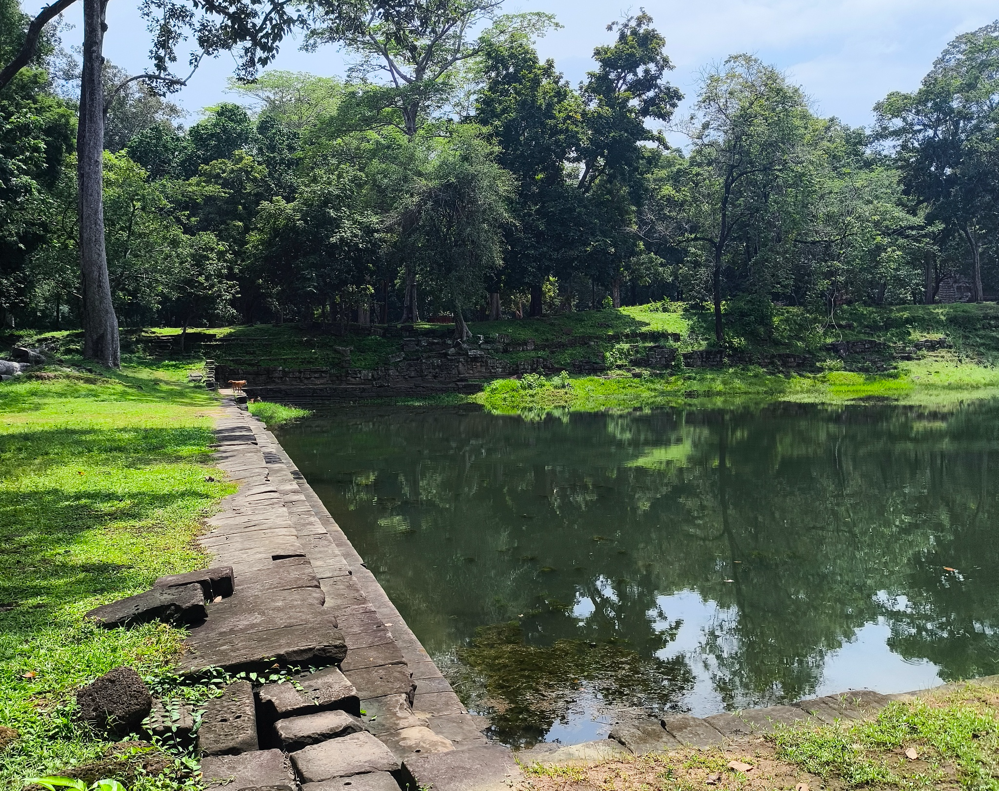 Diary of a trip to Melanesia. Cambodia. Day 88. The Great Angkor, or how we made the monkeys yawn - My, Travels, Life stories, Around the world, Drive, Cambodia, Unusual, Empire, Informative, Туристы, Tourism, Angkor Wat, Video, Vertical video, Longpost