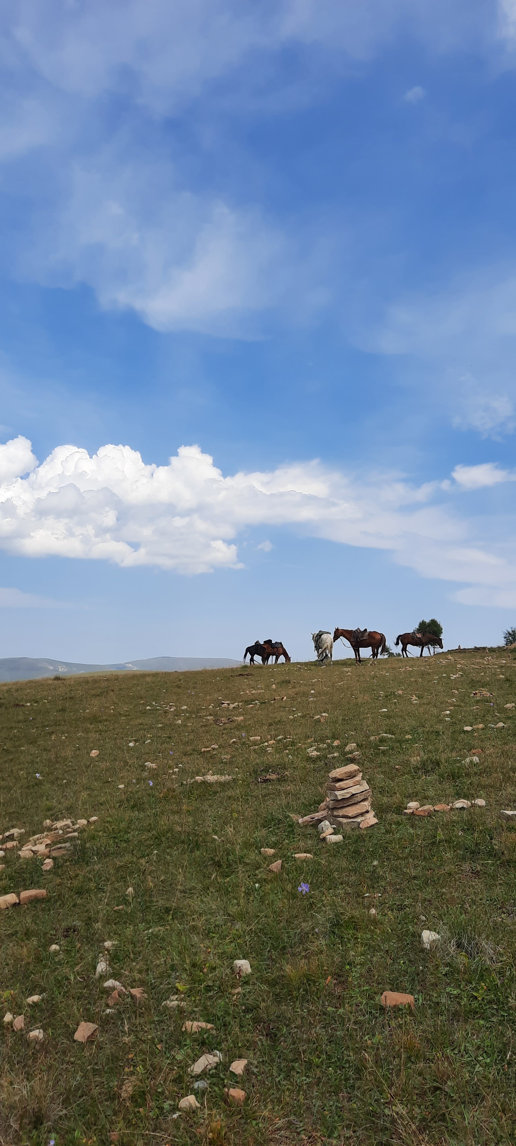 Dzhily-Su - Jily-Su, Caucasus, Elbrus, Video, Vertical video, Longpost