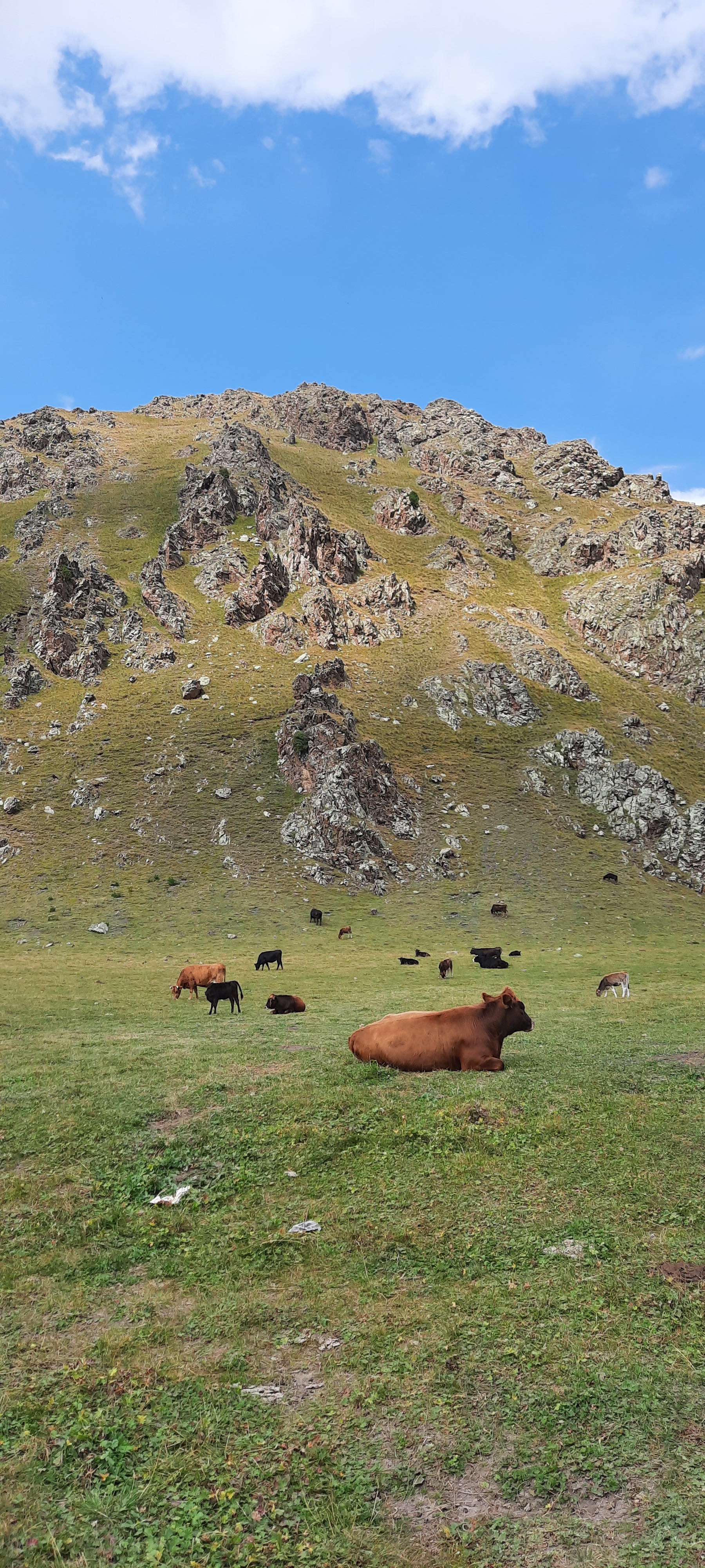 Dzhily-Su - Jily-Su, Caucasus, Elbrus, Video, Vertical video, Longpost