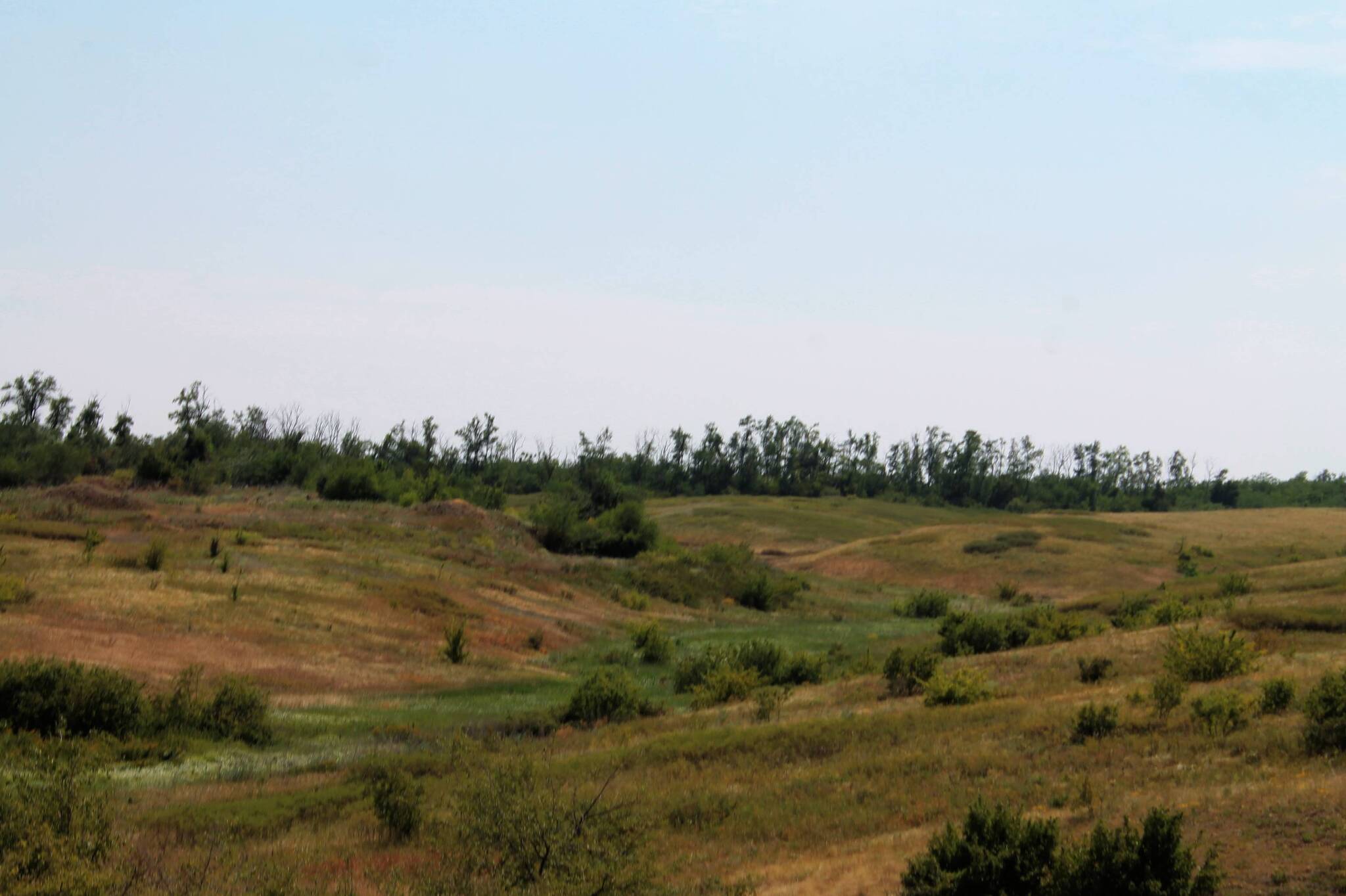 Hot wind - My, The photo, Landscape, Nature, Steppe, Heat