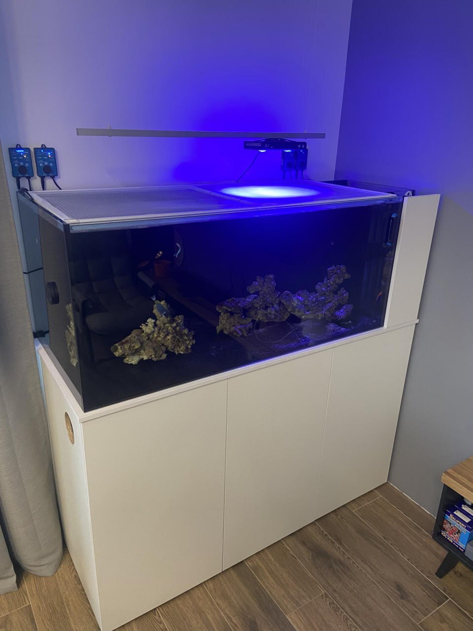 How I decided to install a marine aquarium in my office, without understanding anything about aquarium keeping Part 1 - My, Aquarium, A fish, Video, Vertical video, Longpost, Marine Aquarium