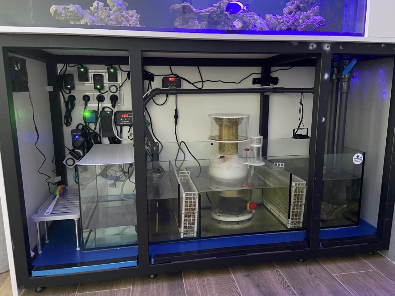 How I decided to install a marine aquarium in my office, without understanding anything about aquarium keeping Part 1 - My, Aquarium, A fish, Video, Vertical video, Longpost, Marine Aquarium