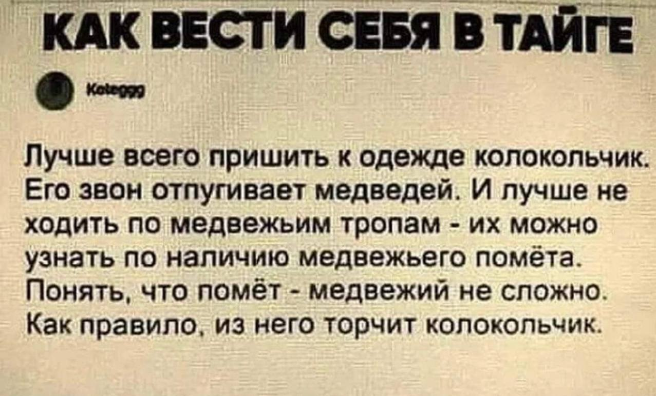 Как вести себя в тайге - Ирония, Картинка с текстом, Анекдот, Черный юмор, Тайга, Выживание, Колокольчики, Зашакалено