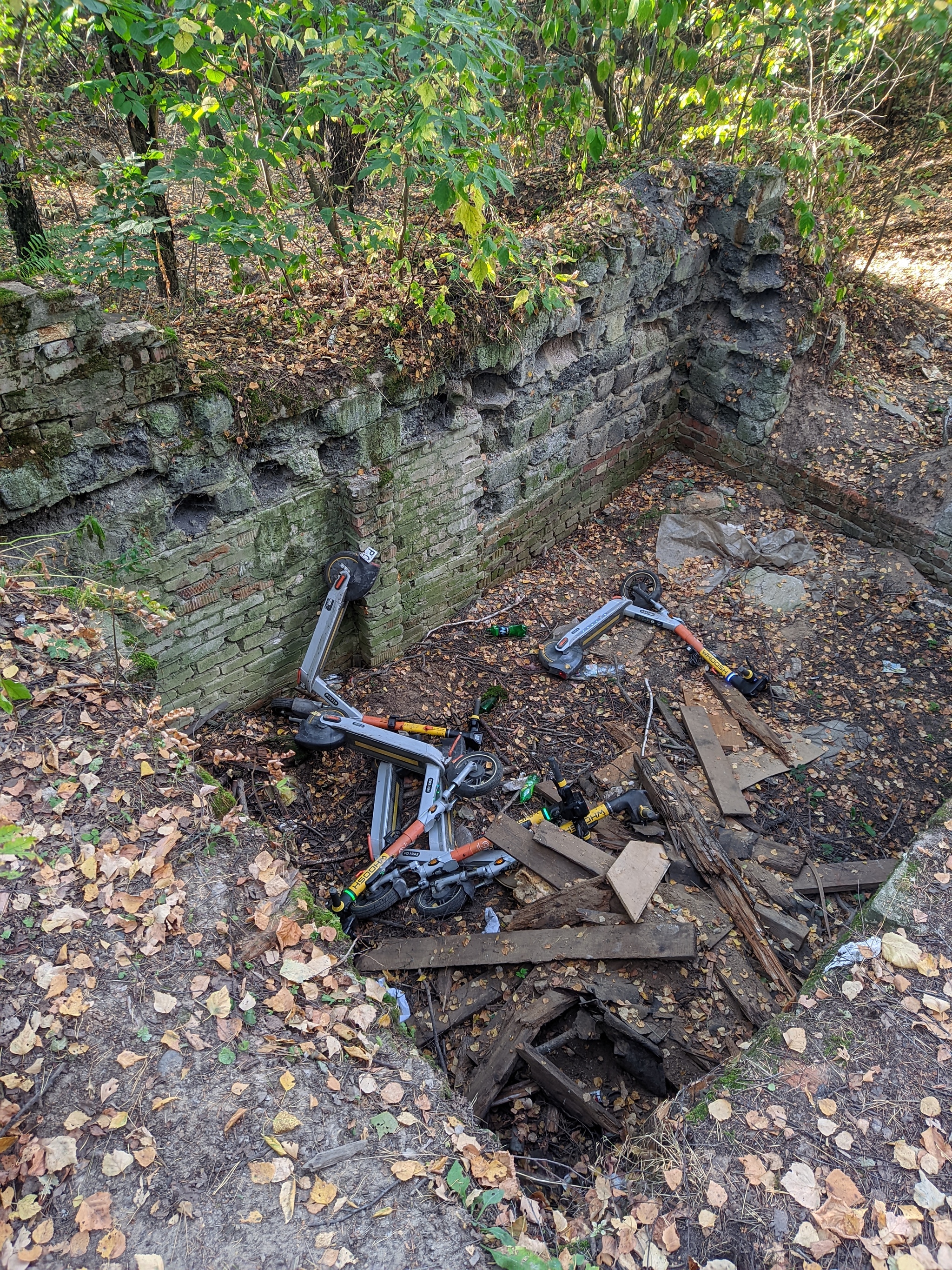 Some kind of mass grave for scooters... In the forest - My, Kick scooter, Forest, Vandalism